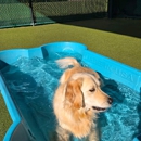 Bayside Pet Resort
