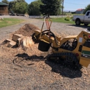 Skyline Stump Grinding - Tree Service