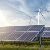 Gallery Image Number 2