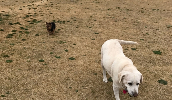 Barkin' Basin Dog Park - Las Vegas, NV