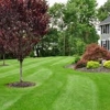 All Seasons Lawn Care gallery