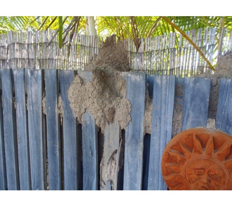 POD's Pest Control - Garbutt, QLD
