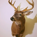Wilderness Walt's Taxidermy - Taxidermists