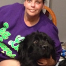 Suds & Bubbles Pet Grooming Salon - Dog & Cat Furnishings & Supplies