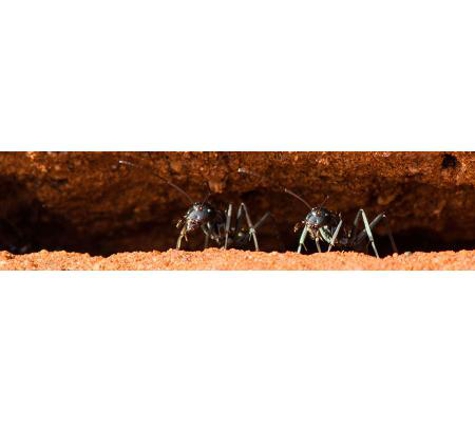 Goldfields Pest Control - Kalgoorlie, WA