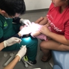 Dental Park gallery