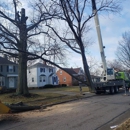 Hometown Tree Service - Tree Service