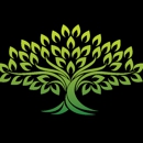 Shady Grove Tree Service - Tree Service