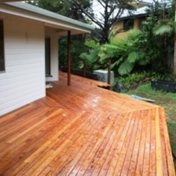 Gallery Image Number 2