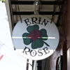 Erin Rose gallery