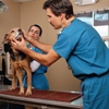 Millcreek Veterinary Clinic gallery