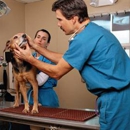 Millcreek Veterinary Clinic and Urgent Care - Veterinarians