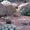 Southwest Landscape Materials gallery