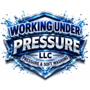 Working Under Pressure LLC - Driveway Contractors