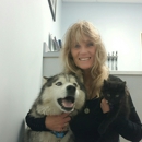 Parkview Animal Hospital - Veterinarians
