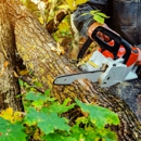 Maloney Tree Care - Tree Service