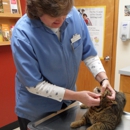 Seven Hills Animal Hospital
