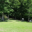 Michael's Tree Service - Stump Removal & Grinding