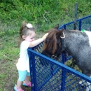 Beach Party Ponies-Petting Zoo - Party Favors, Supplies & Services