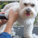 Judys Pet Grooming - Pet Grooming