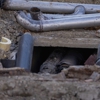 Shetley's Plumbing gallery