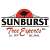 Sunburst Tree Experts gallery