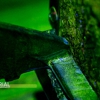 Industrial Inspection and Consulting LLC gallery