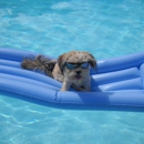 Reliable Pool Service - Swimming Pool Repair & Service