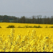 Gallery Image Number 3