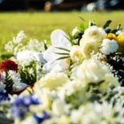 Bell's Funeral Home & Cremation Services