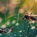 All-Star Pest Management Co - Pest Control Equipment & Supplies