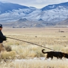 K9 Pipe Inspections, LLC gallery