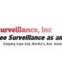 Liberty Surveillance Inc