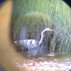 Connecticut Audubon Coastal Center