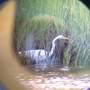 Connecticut Audubon Coastal Center