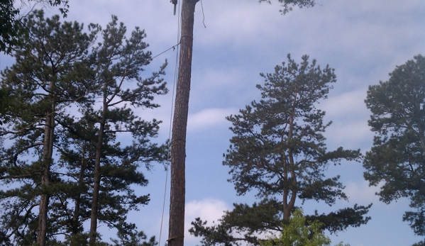 Superior Tree And Landscape - Morristown, TN