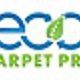 Eco Carpet Pro
