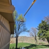 Abe's Low Cost Tree Removal gallery