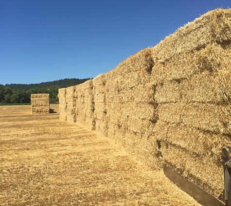 Beaudry Farms - Amity, OR