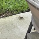 ClearDefense Pest Control - Pest Control Services