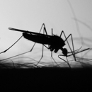 Mosquito Strike - Pest Control Services-Commercial & Industrial