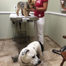 Rehoboth Animal Hospital - Veterinarians