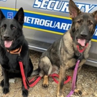 Metroguard Security & Risk Management
