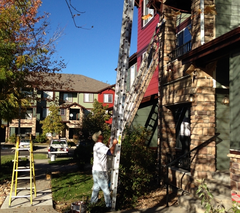 Stellar Painting & Remodeling - Littleton, CO