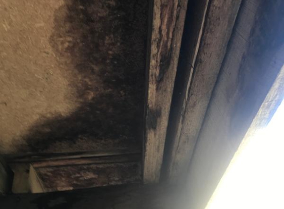 Dez Constructions Pty Ltd - Koornalla, VIC. when Dez constructions we’re notified the took months to come and look at it. They told just go through insurance