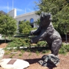 California Memorial Stadium gallery