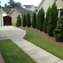 Charleston Evergreen - Fence Repair