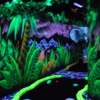 Shankz Black Light Miniature Golf gallery