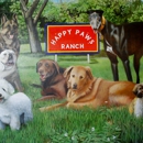 Happy Paws Ranch..dog boarding - Pet Boarding & Kennels