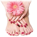 Lee Nails - Nail Salons
